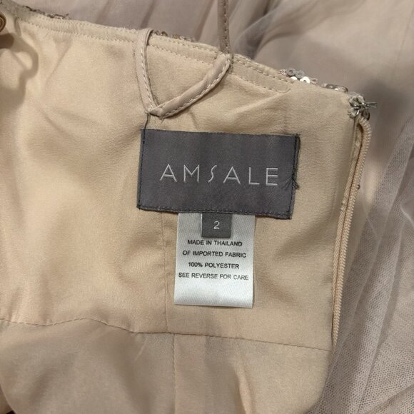 Amsale Blush Floral Applique Tulle Maxi Dress - Size 2 - Picture 6 of 6